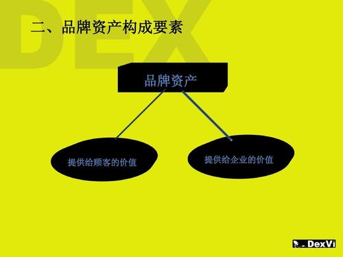 品牌资产及其管理者 投资管理视角下的品牌学概论