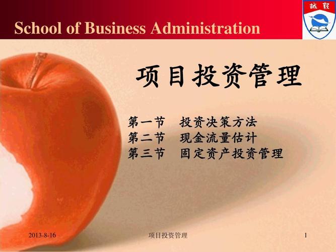 项目投资管理课件 投资管理核心框架与实战要点